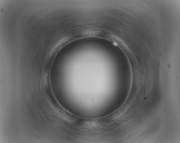 X0000078840071200611201324