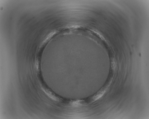 X0000078840072200611201324