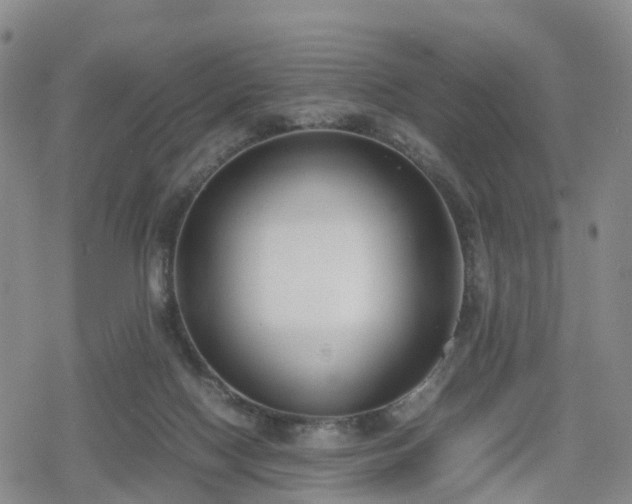 X0000078840074200611201324