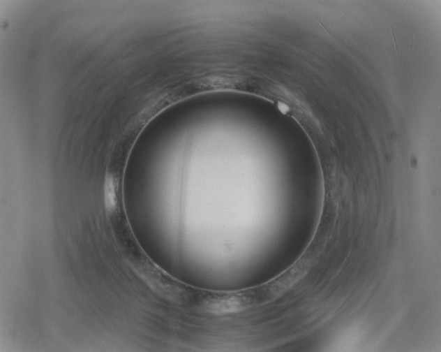 X0000078840075200611201324