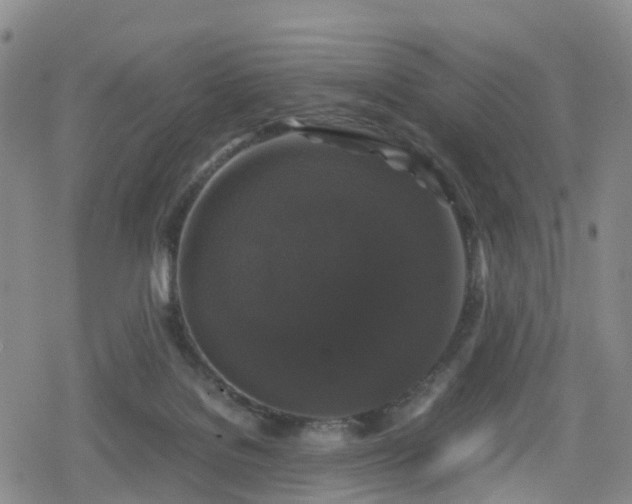 X0000078840076200611201324