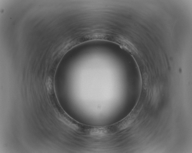 X0000078840077200611201324