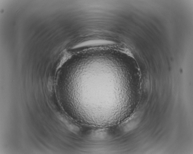 X0000078840078200611201324