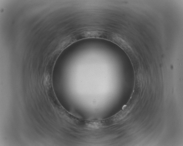 X0000078840079200611201324