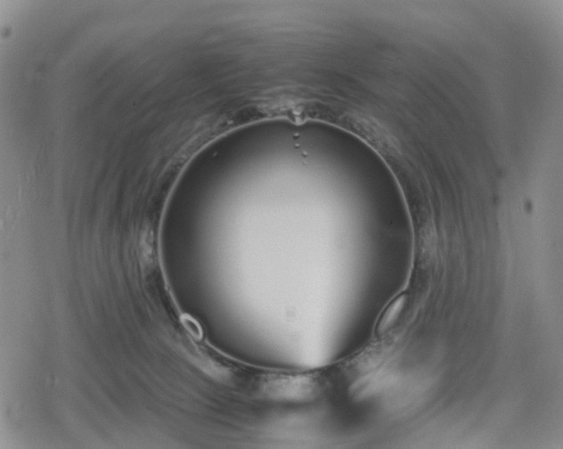 X0000078840081200611201324