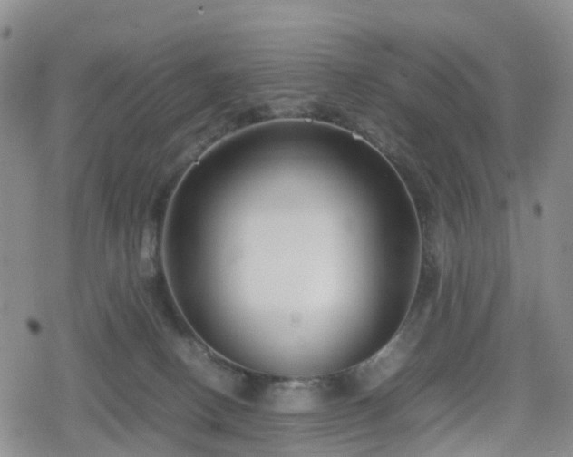 X0000078840082200611201324