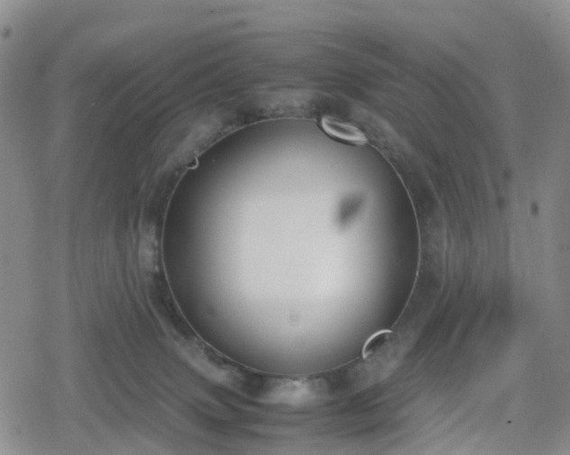 X0000078840083200611201324