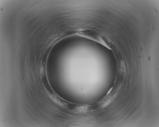 X0000078840084200611201324