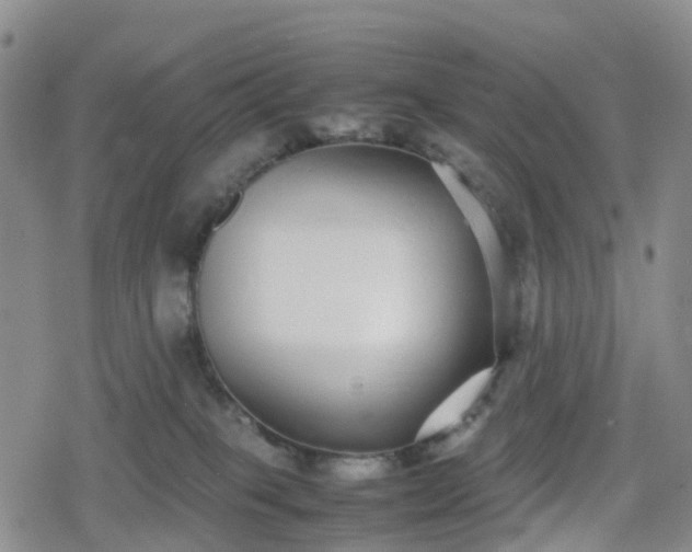 X0000078840085200611201324