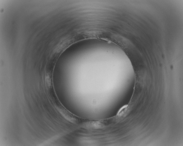 X0000078840086200611201324