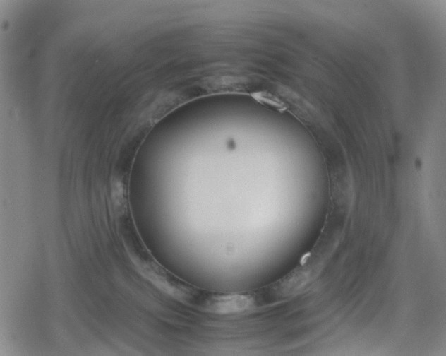 X0000078840087200611201324