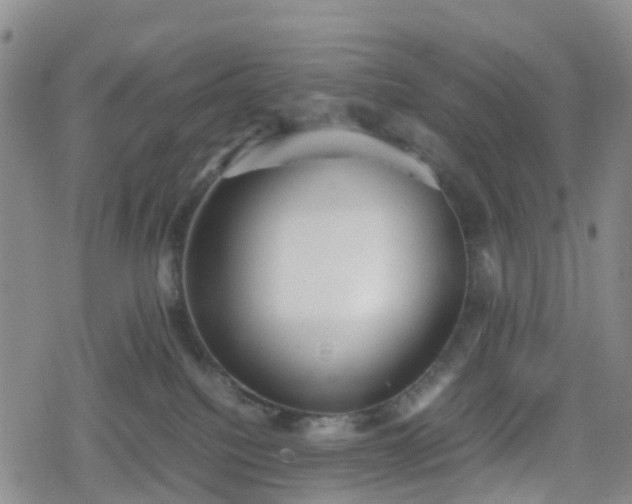 X0000078840088200611201324