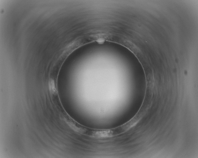 X0000078840089200611201324