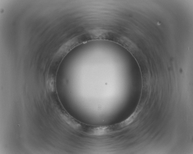 X0000078840090200611201324