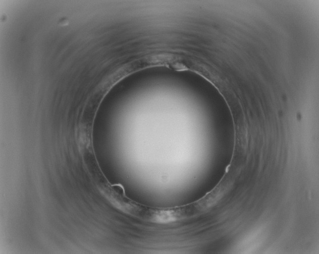 X0000078840091200611201324