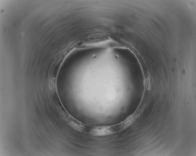 X0000078840093200611201324