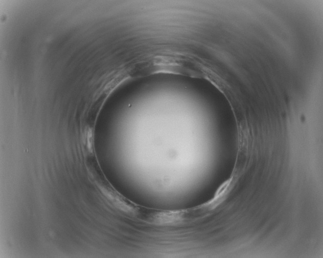 X0000078840094200611201324