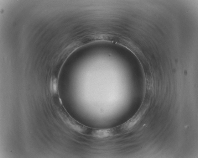 X0000078840095200611201324