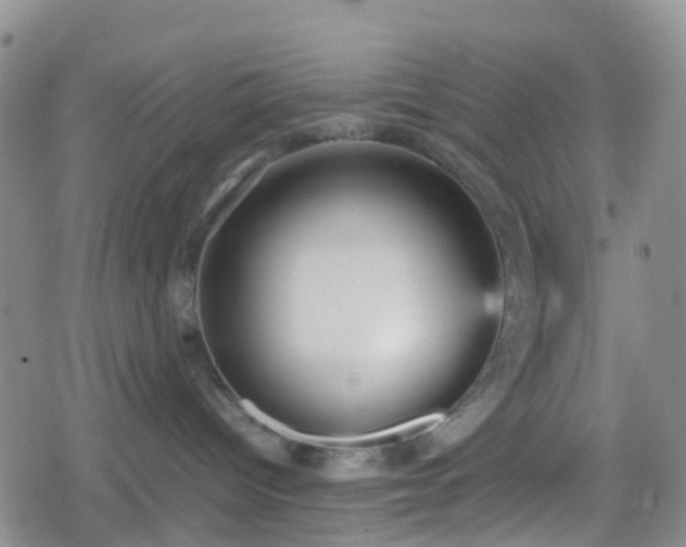 X0000078840096200611201324