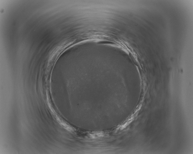 X0000078840097200611201323