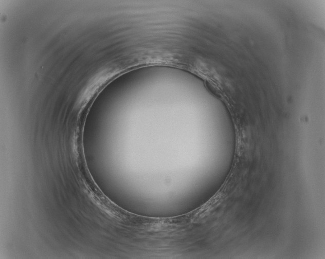 X0000078840098200611201323