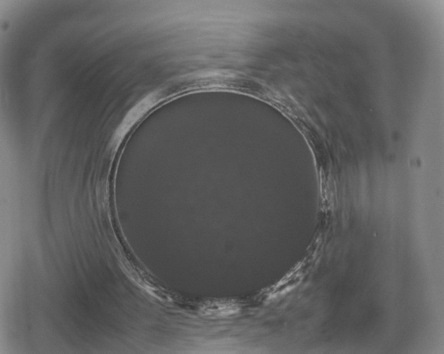 X0000078840099200611201323