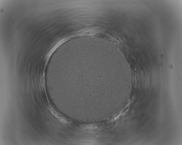 X0000078840100200611201323