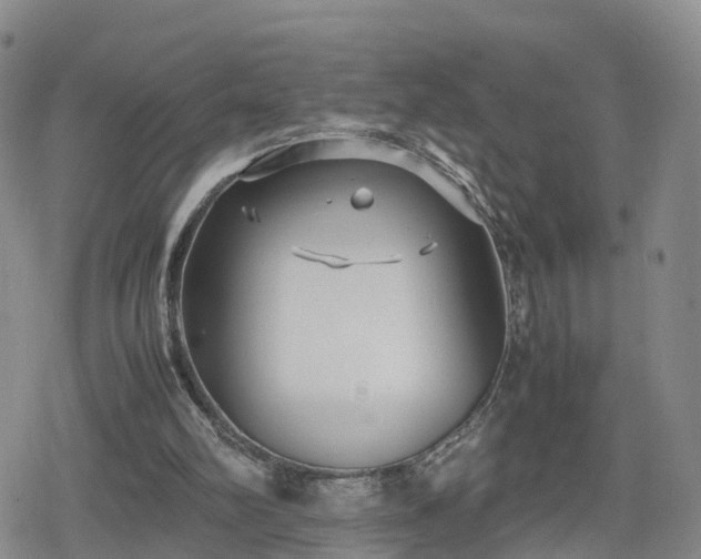 X0000078840102200611201323