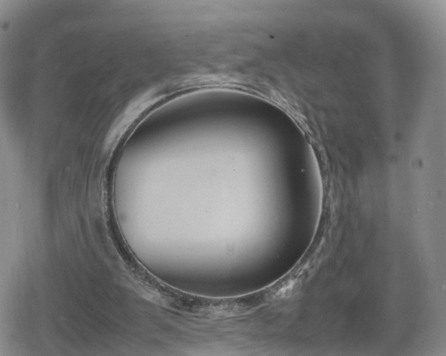 X0000078840103200611201323