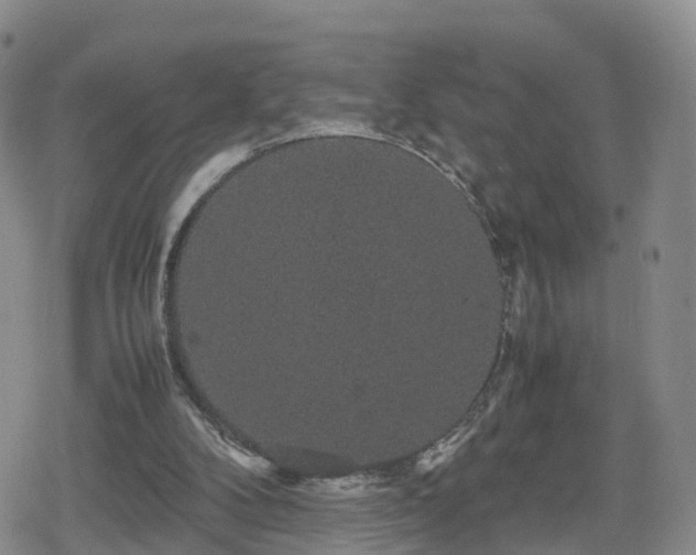 X0000078840104200611201323