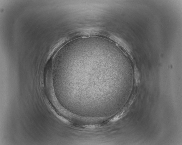 X0000078840105200611201323