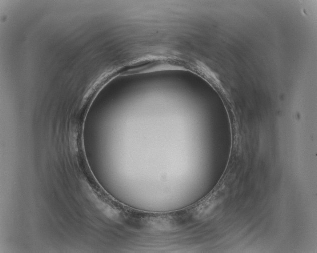 X0000078840106200611201323