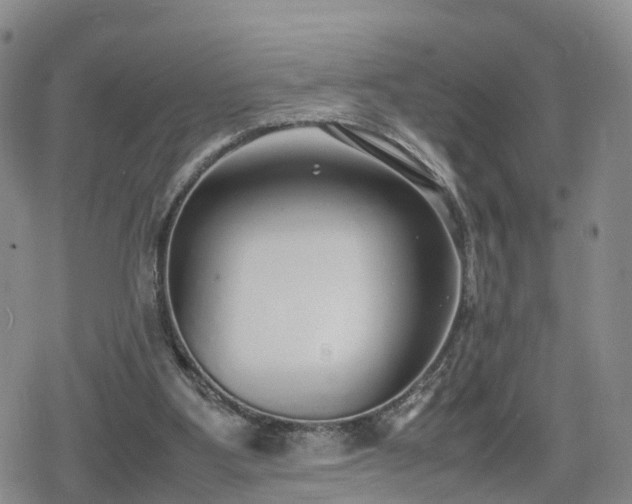 X0000078840107200611201323