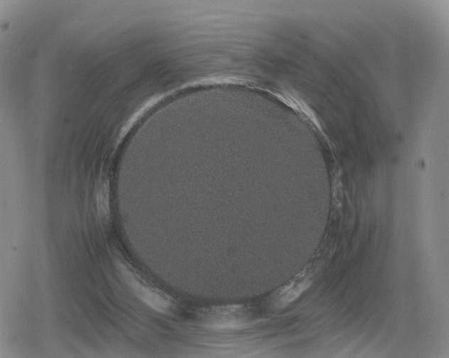 X0000078840108200611201323