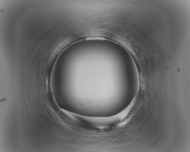 X0000078840109200611201323