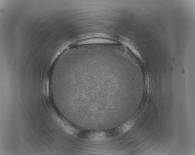 X0000078840110200611201323