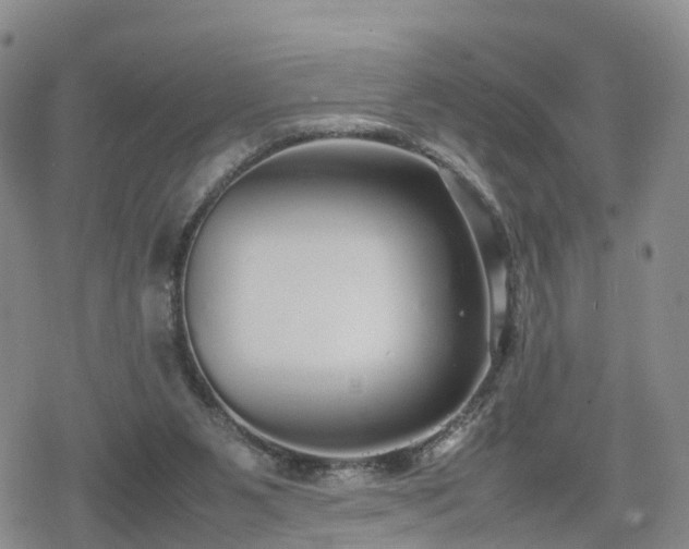 X0000078840111200611201323