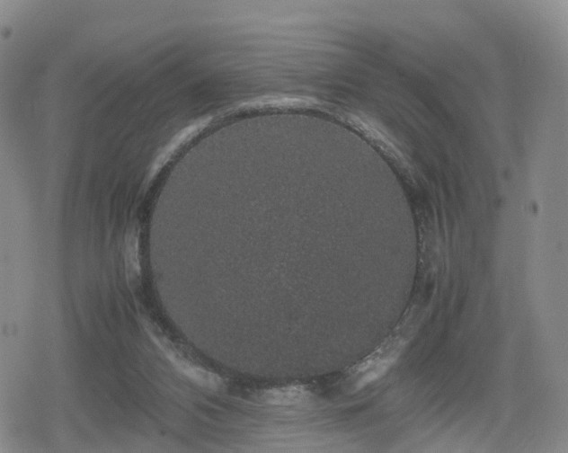 X0000078840112200611201323