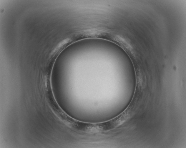 X0000078840115200611201323