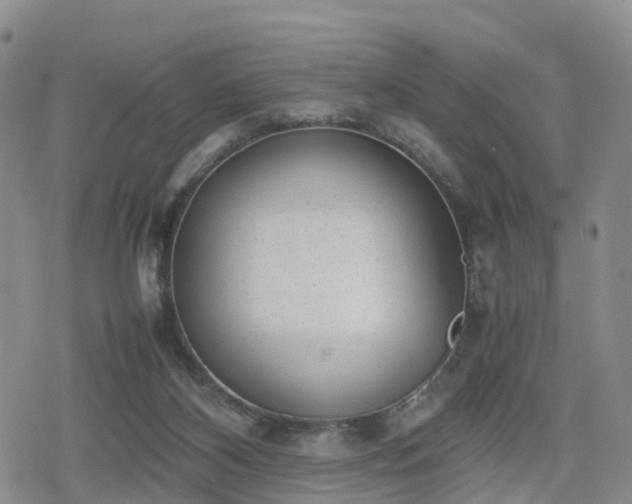 X0000078840116200611201323