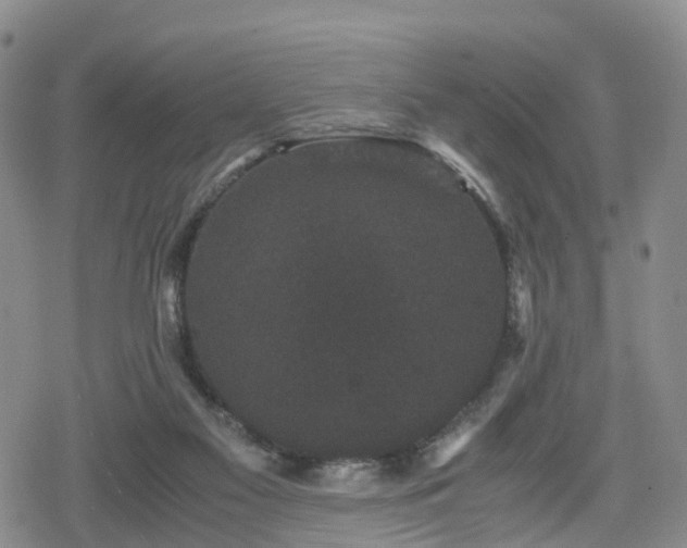 X0000078840117200611201323