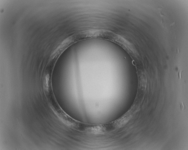 X0000078840118200611201323