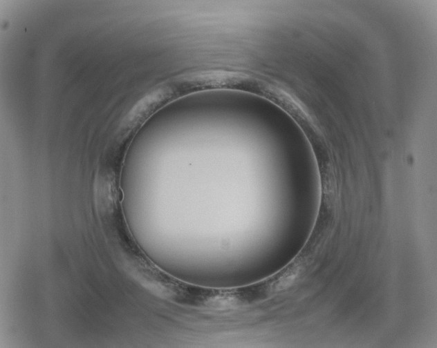 X0000078840119200611201323