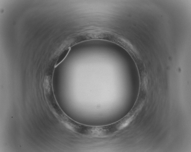 X0000078840121200611201323