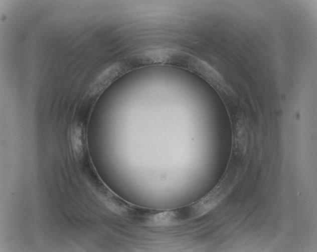 X0000078840122200611201323