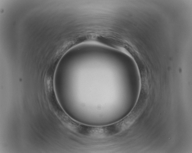 X0000078840123200611201323