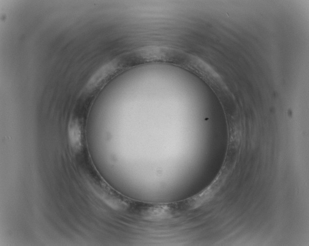 X0000078840124200611201323