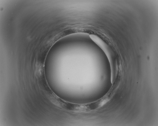 X0000078840125200611201323