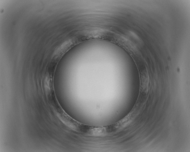 X0000078840126200611201323