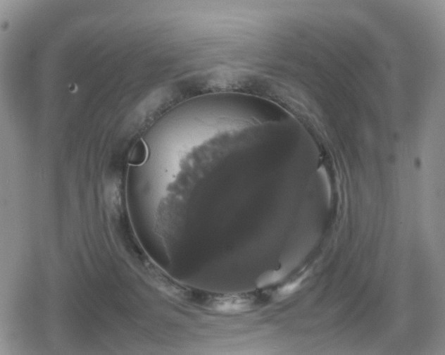 X0000078840127200611201323